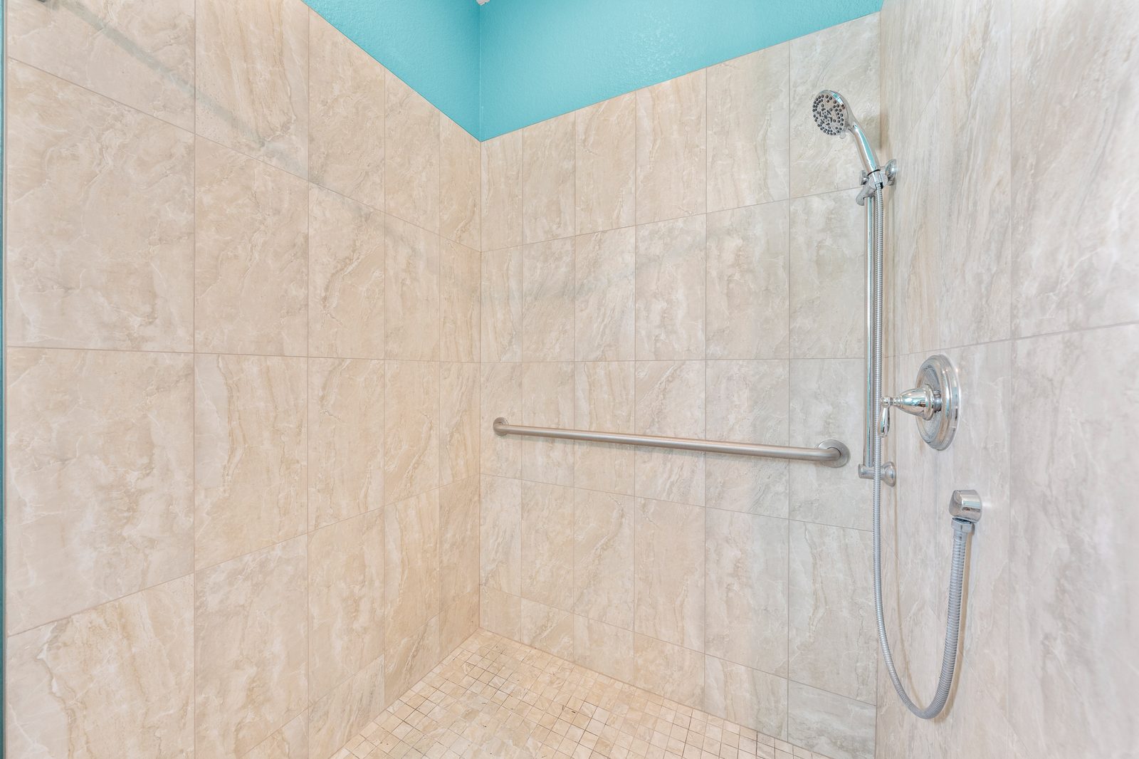 Primary bath walk-in shower with accessible features